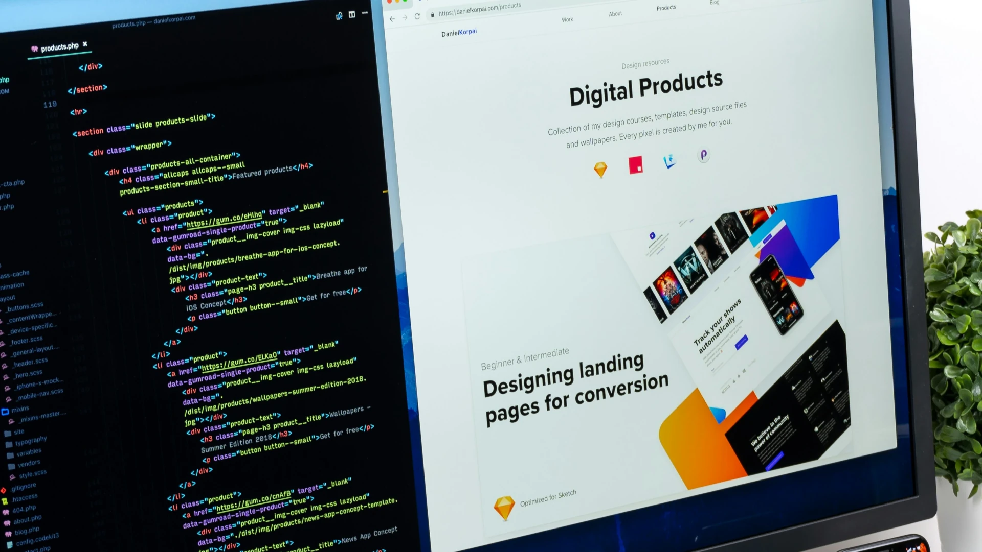 Web Design